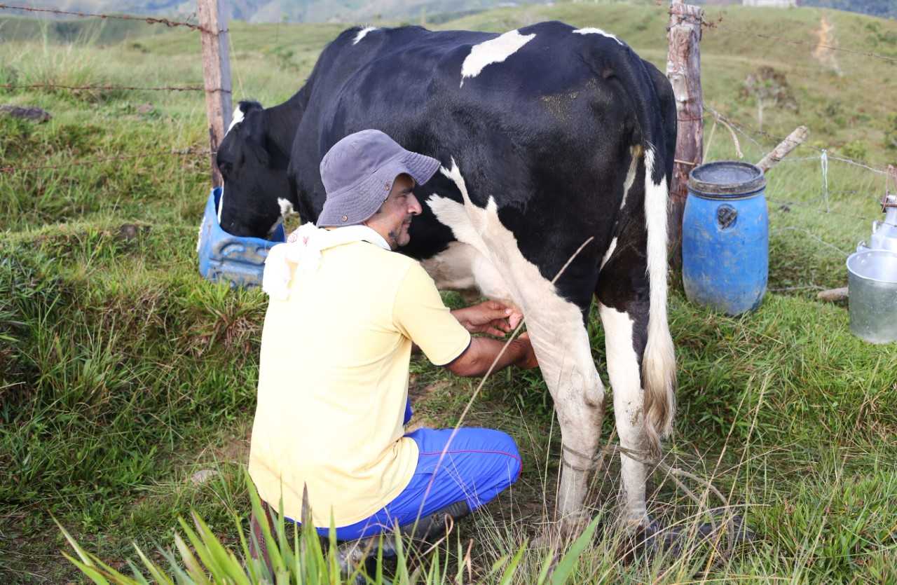 El queso Asproquema “solución” para los ganaderos  de Anorí