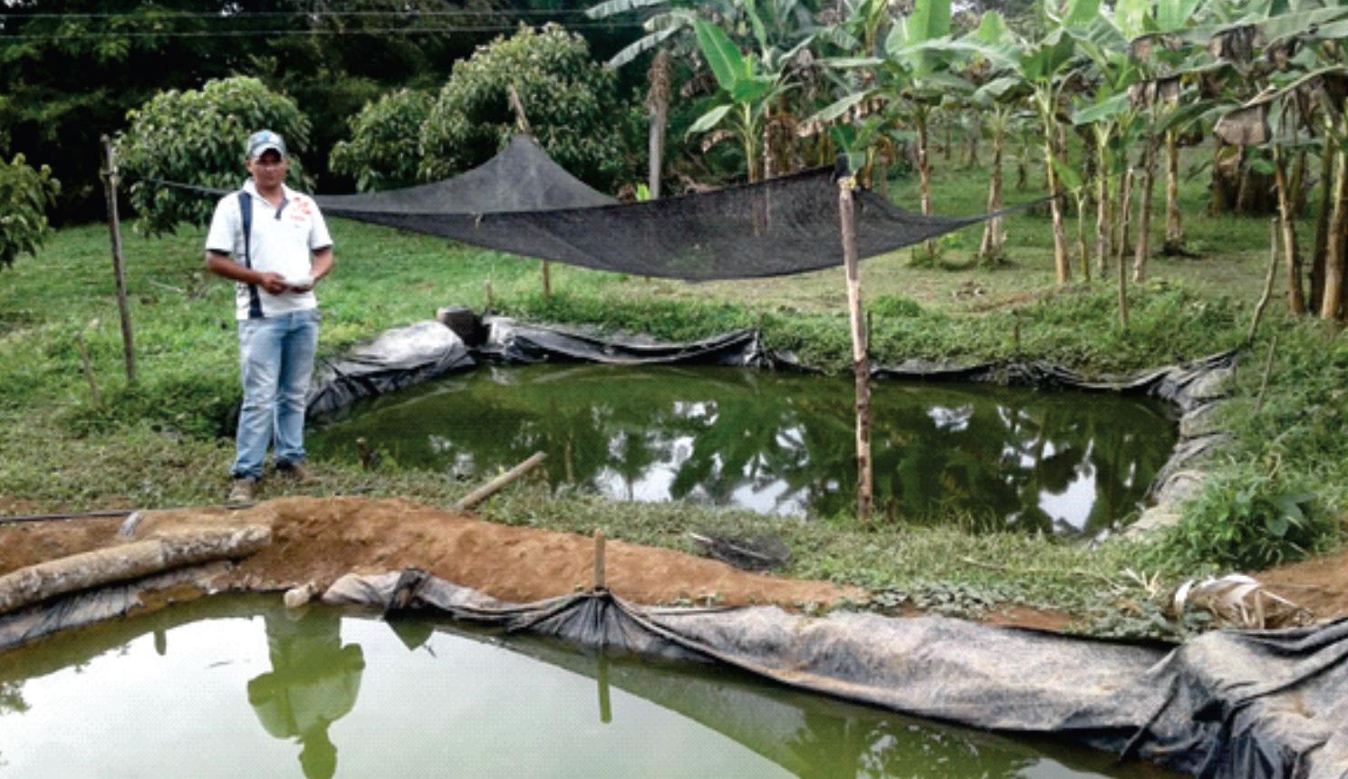 Carmelo, piscicultor del municipio de Puerto Libertador (Córdoba). Foto: Archivo Microempresas de Colombia