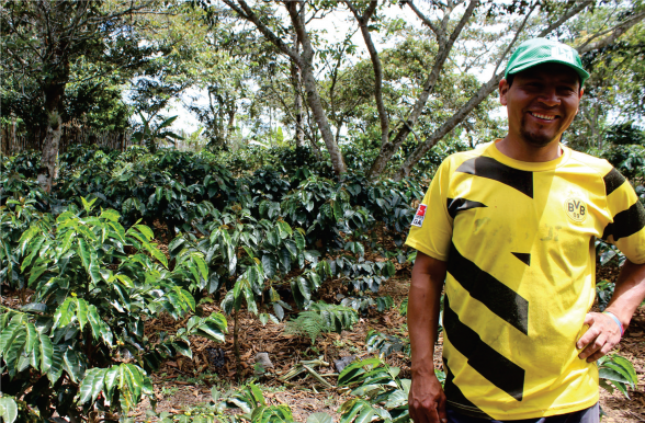 Construyendo sueños de café